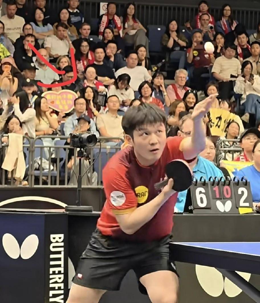 8.27日：德甲看台现华人身影，樊振东赛场挥洒汗水，镜头捕捉动人瞬间，海外同胞情谊深厚